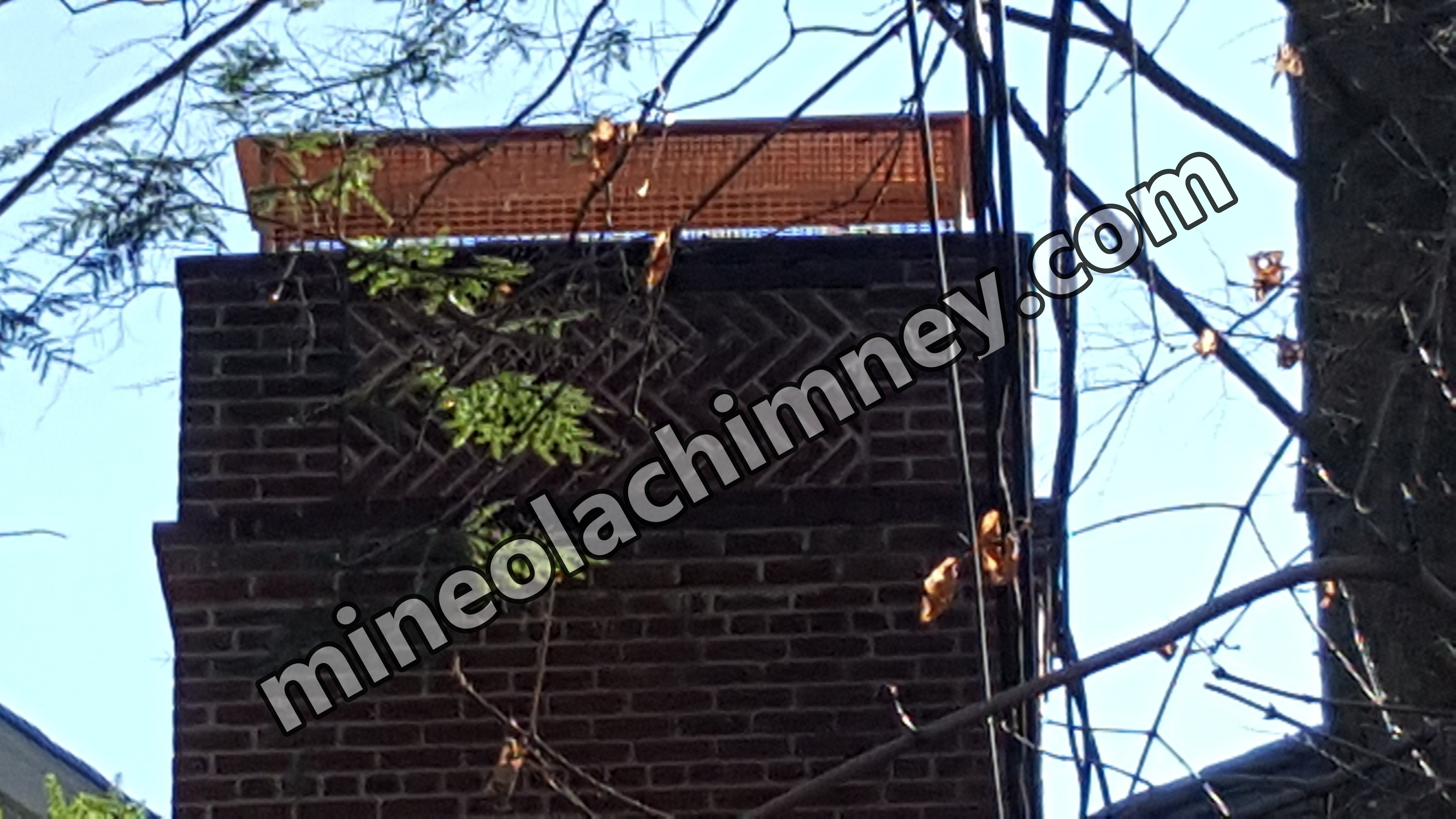Animal-proof chimney cap protecting home in Mineola, New York